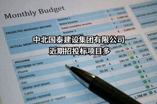 中北国泰建设集团有限公司