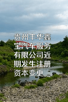 贵州丰华鑫宝汽车服务有限公司