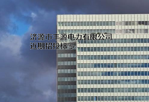 济源市丰源电力有限公司