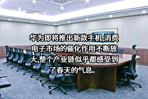 华为技术有限公司