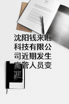沈阳钱来啦科技有限公司