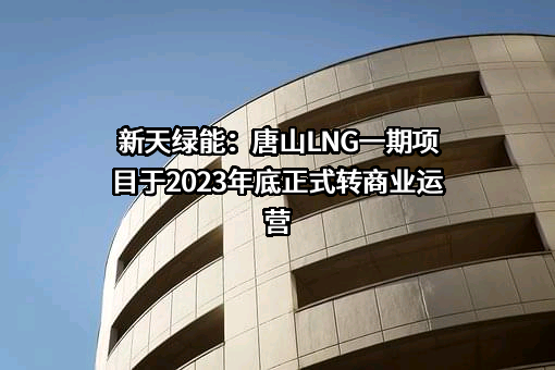 新天绿色能源股份有限公司