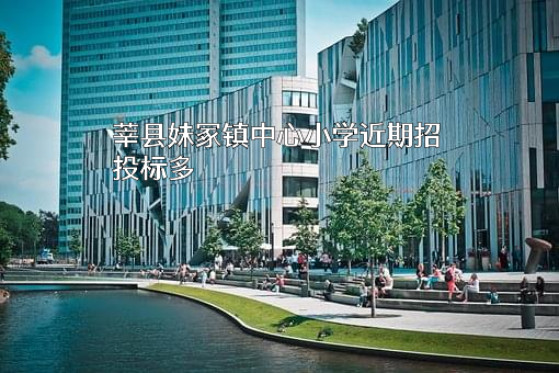 莘县妹冢镇中心小学近期招投标项目多