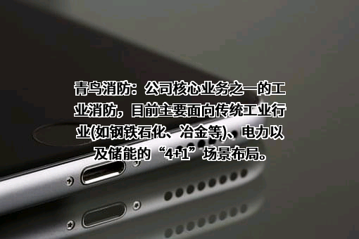 青鸟消防股份有限公司