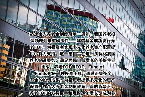 建信基金管理有限责任公司