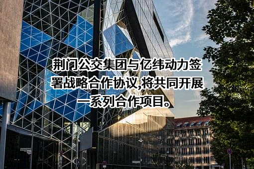 湖北亿纬动力有限公司