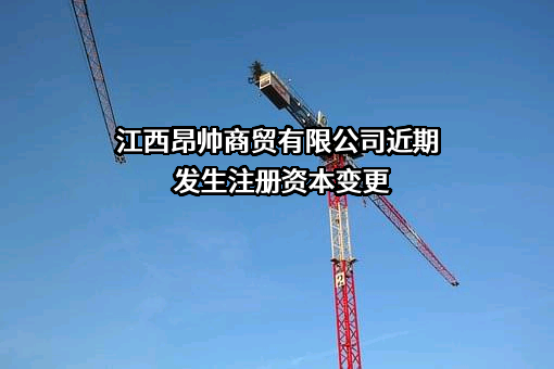 江西昂帅商贸有限公司