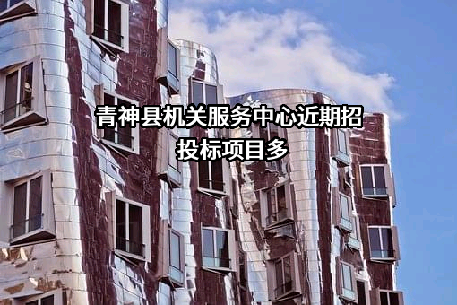 青神县机关服务中心