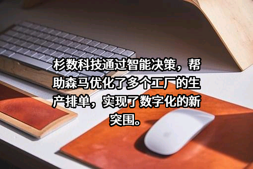 杉数科技（北京）有限公司