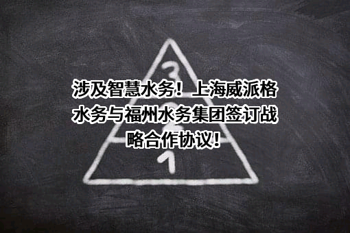 福州水务集团有限公司