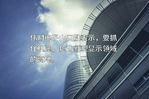 伟时电子股份有限公司