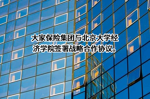 大家养老保险股份有限公司