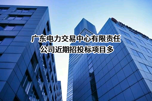 广东电力交易中心有限责任公司近期招投标项目多