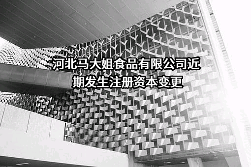 河北马大姐食品有限公司