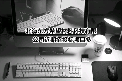 北海东方希望材料科技有限公司