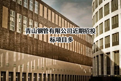 青山钢管有限公司