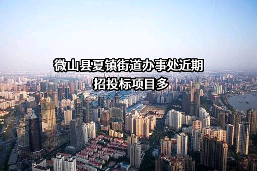 微山县夏镇街道办事处