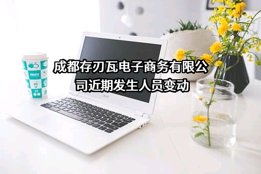 成都存刃瓦电子商务有限公司