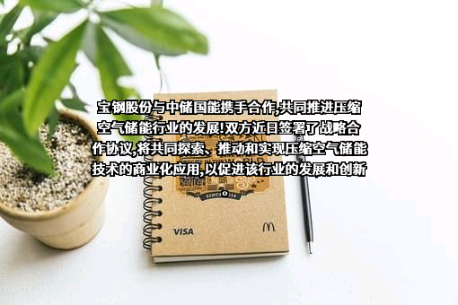 中储国能（北京）技术有限公司