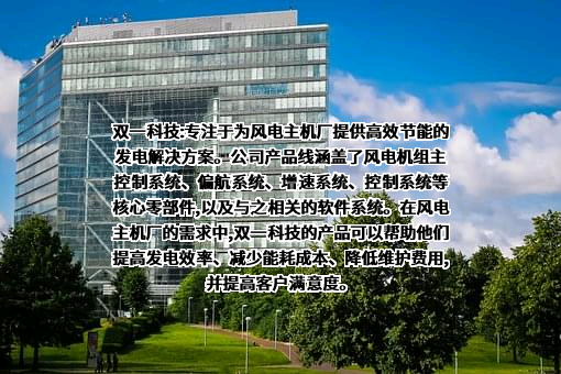 山东双一科技股份有限公司