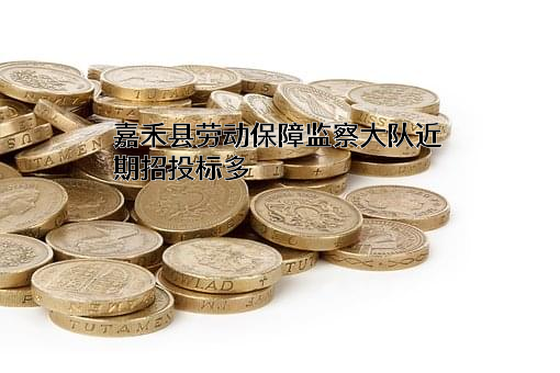 嘉禾县劳动保障监察大队