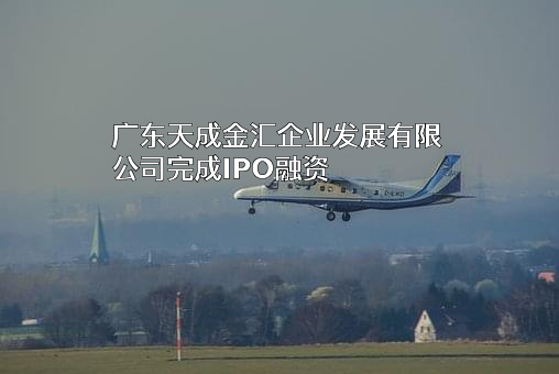 广东天成金汇企业发展有限公司