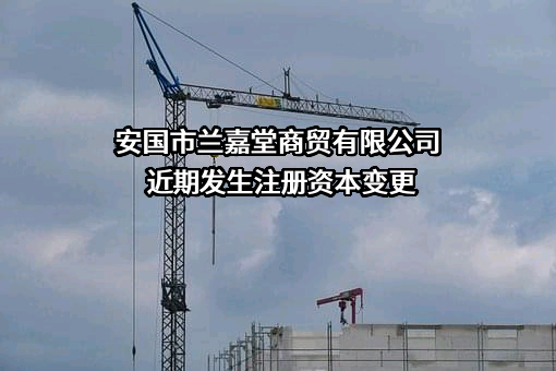 安国市兰嘉堂商贸有限公司