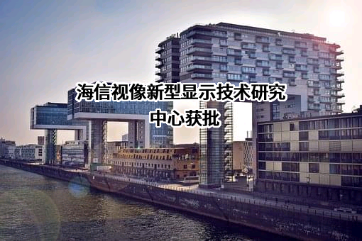 海信视像科技股份有限公司