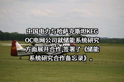 中国电力国际发展有限公司