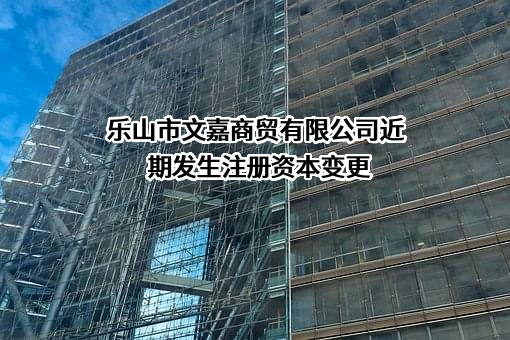 乐山市文嘉商贸有限公司
