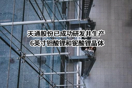 天通控股股份有限公司