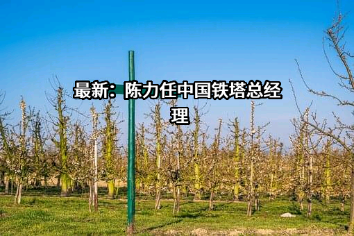 中国铁塔股份有限公司