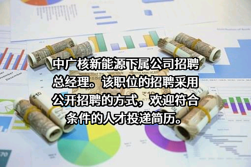 中国广核新能源控股有限公司