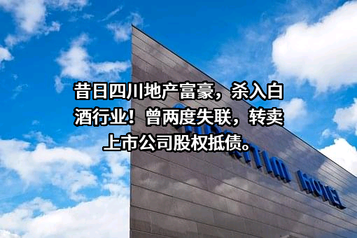 四川泰合置业集团有限公司