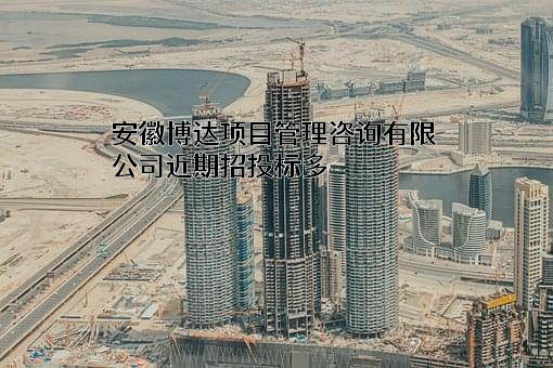安徽博达项目管理咨询有限公司