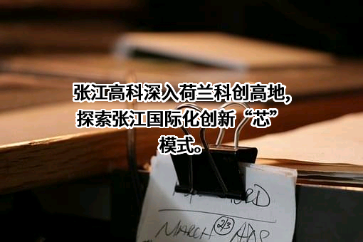 上海张江高科技园区开发股份有限公司