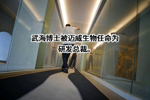 迈威（上海）生物科技股份有限公司