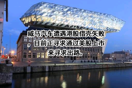 威马汽车科技集团有限公司