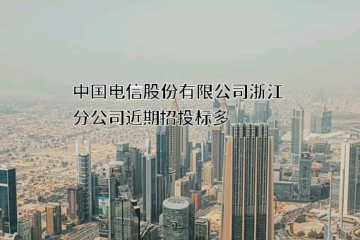 中国电信股份有限公司浙江分公司