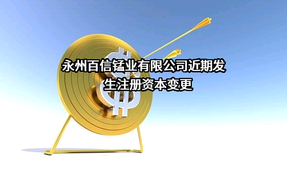 永州百信锰业有限公司