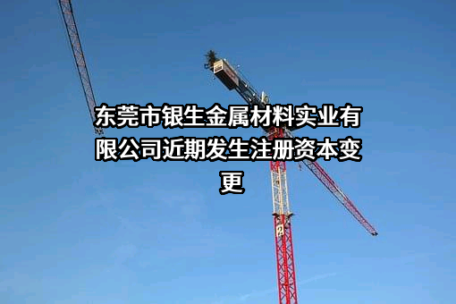 东莞市银生金属材料实业有限公司