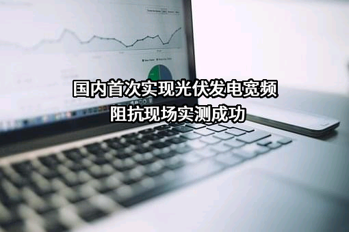 国网宁夏电力有限公司