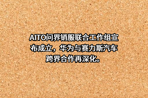上海赛力斯汽车销售服务有限公司