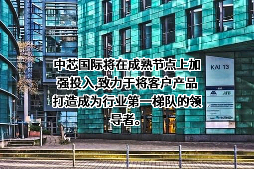 中芯国际集成电路制造（上海）有限公司