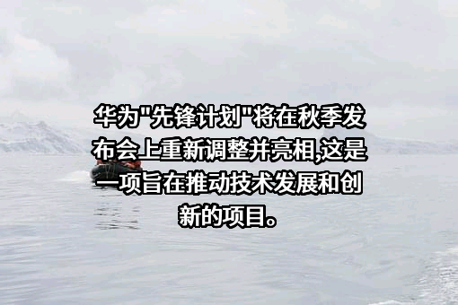 华为技术有限公司