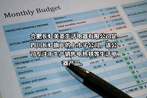 四川长虹电器股份有限公司