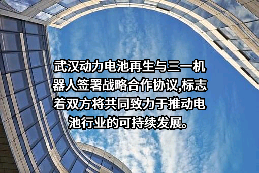 三一机器人科技有限公司