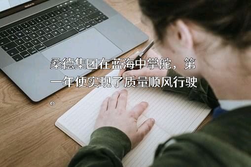 桑德集团有限公司