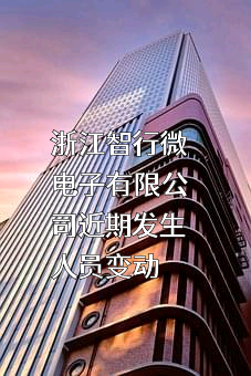 浙江智行微电子有限公司