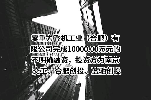 零重力飞机工业（合肥）有限公司